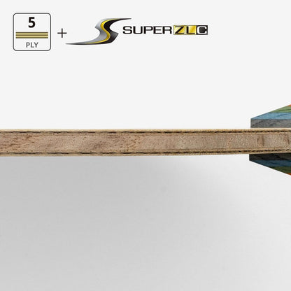 林昀儒 SUPER ZLC FL