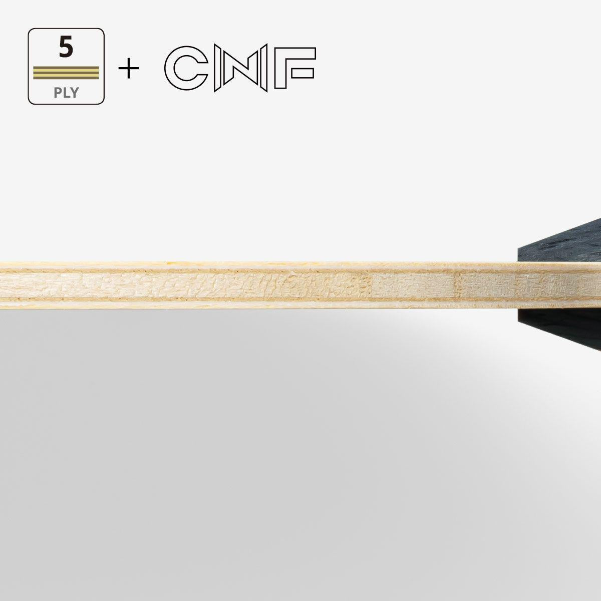 樊振東 CNF FL