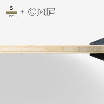 樊振東 CNF FL